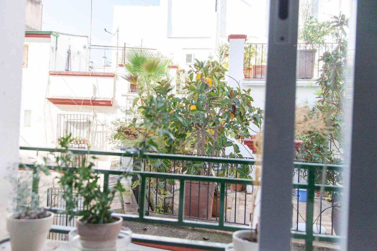 Apartamento Chic&luminoso Wifi Ac Elegante En El Salvador 1 Hab